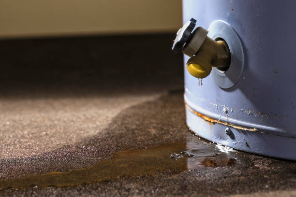 Best Commercial water damage restoration  in Minerva, OH