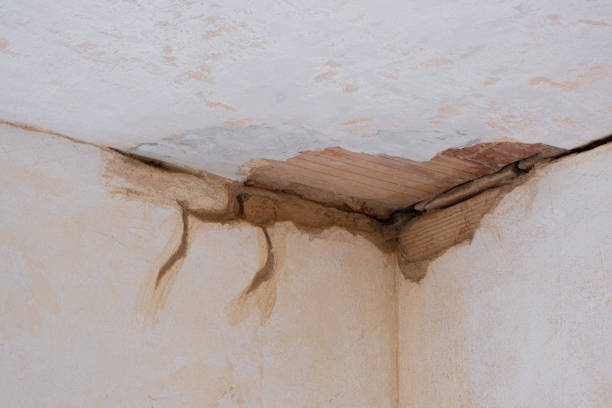 Best Water damage restoration services  in Minerva, OH