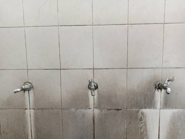 Best Professional water damage repair  in Minerva, OH