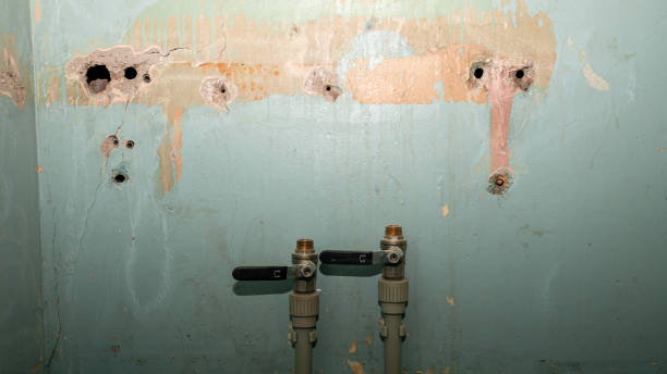 Best Carpet water damage restoration  in Minerva, OH